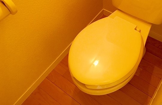 トイレ　トイレ