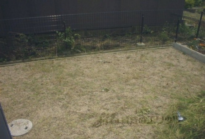 その他　その他