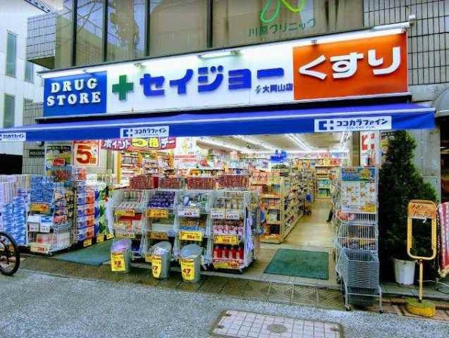 ドラックストア　セイジョー大岡山店（ドラッグストア）まで669m