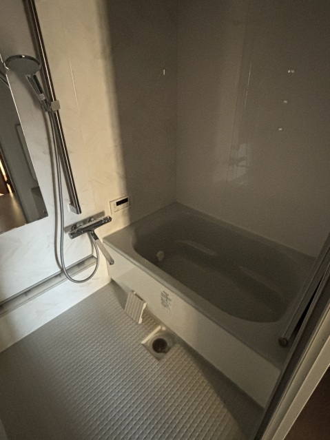 バス・シャワールーム　同物件別号室の写真です。