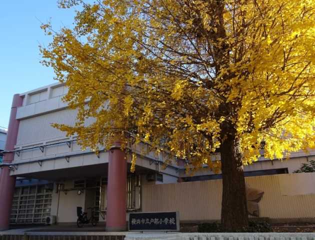 小学校　横浜市立戸部小学校（小学校）まで381m