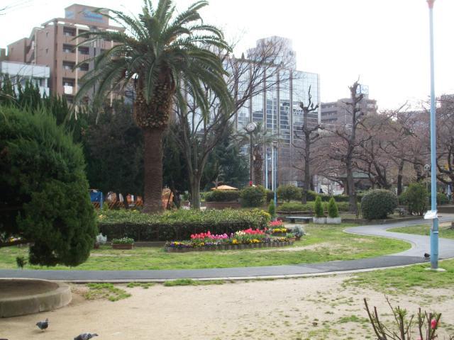 公園　中大江公園（公園）まで200m