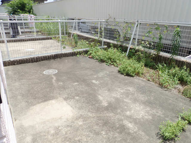 庭