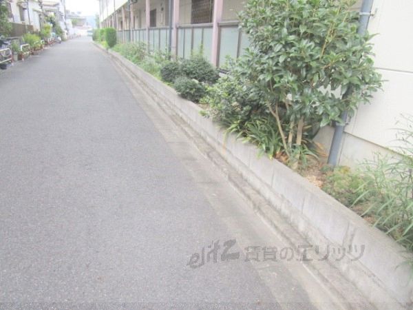 その他　植栽