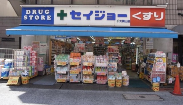 ドラックストア　くすりセイジョー大岡山店（ドラッグストア）まで711m