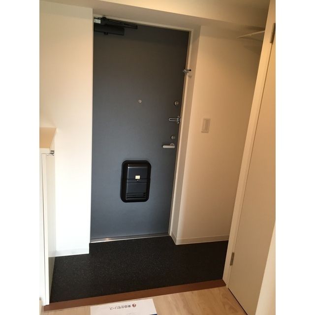 玄関　同タイプ写真　※現況優先