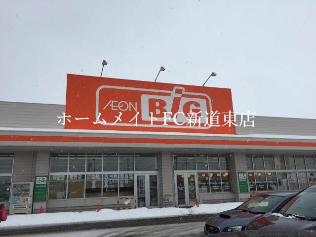 ショッピングセンター　ザ・ビッグ東雁来店（ショッピングセンター）まで1492m
