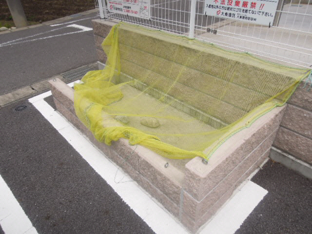 その他　その他