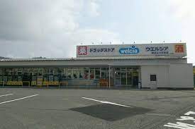 ドラックストア　ウエルシア東近江八日市店（ドラッグストア）まで603m