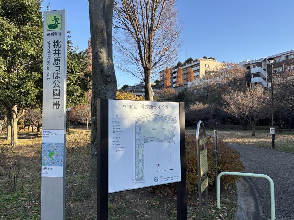 公園　杉並区立桃井原っぱ公園（公園）まで703m