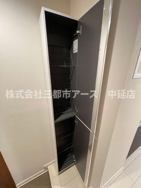 収納　CICADA　SAKURAJOSUI
