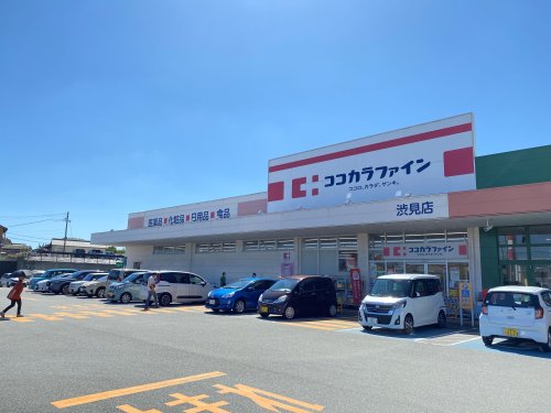 ドラックストア　ココカラファイン 渋見店（ドラッグストア）まで1099m