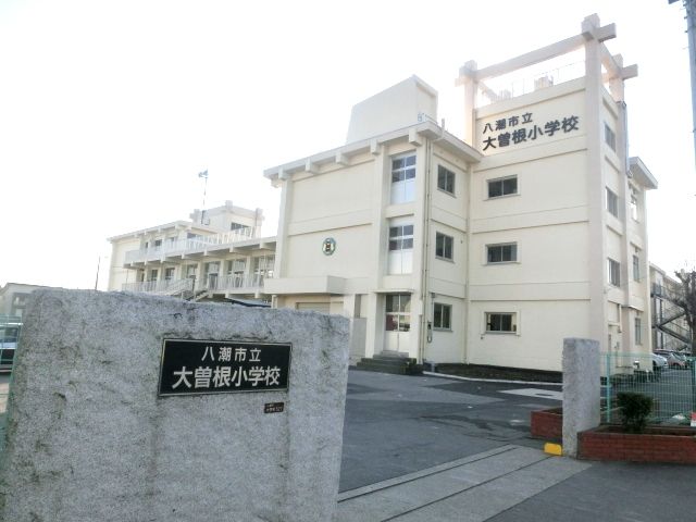 小学校　八潮市立大曽根小学校（小学校）まで1353m