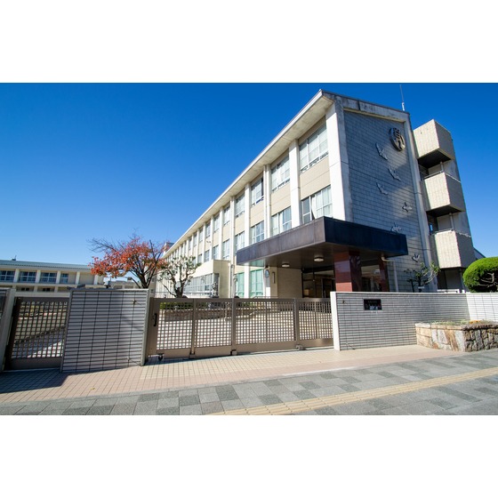 小学校　名古屋市立白鳥小学校（小学校）まで659m