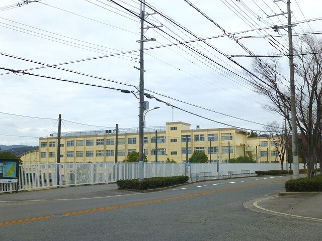 中学校　高槻市立芝谷中学校（中学校）まで2000m
