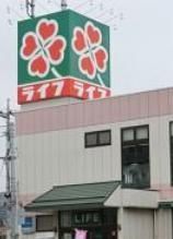 スーパー　ライフ水元店（スーパー）まで590m