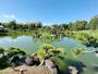 その他　清澄庭園（その他）まで770m