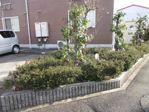 庭　中庭