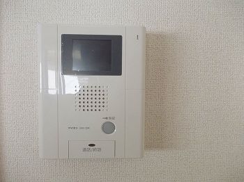 ブルーベルのその他写真