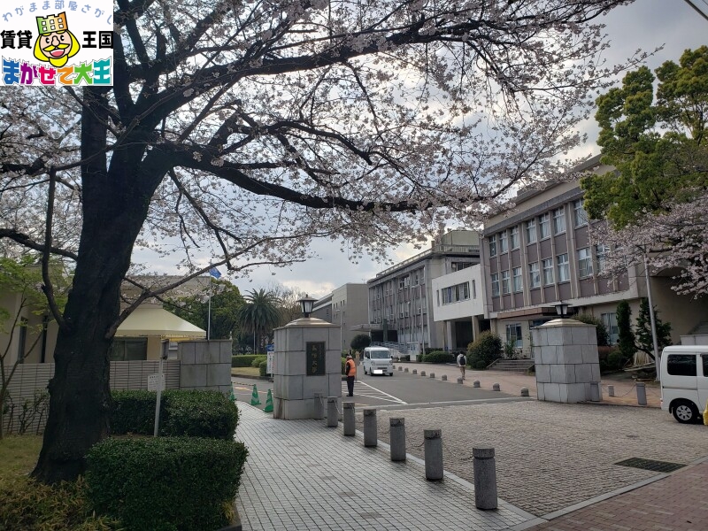 大学・短大　国立長崎大学（大学・短大）まで3736m