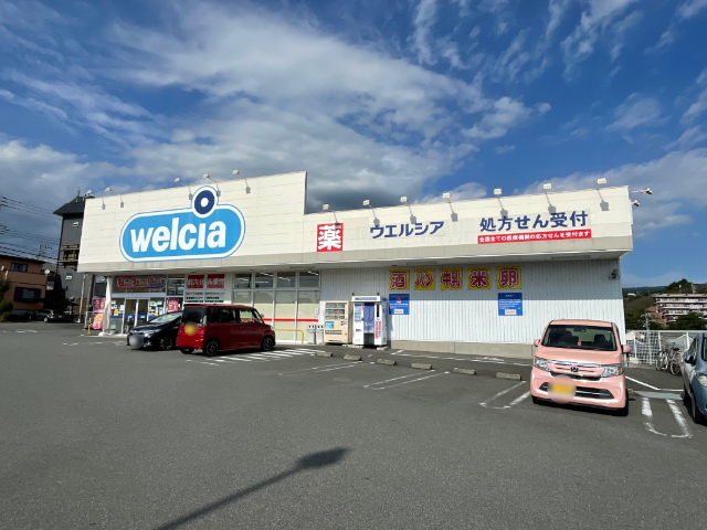 ドラックストア　ウエルシア三島壱町田店（ドラッグストア）まで593m