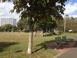 公園　北区中央公園（公園）まで257m