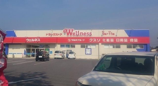 ドラックストア　ウェルネス米原店（ドラッグストア）まで800m
