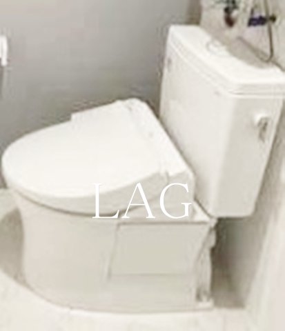 トイレ　トイレになります。（同仕様）