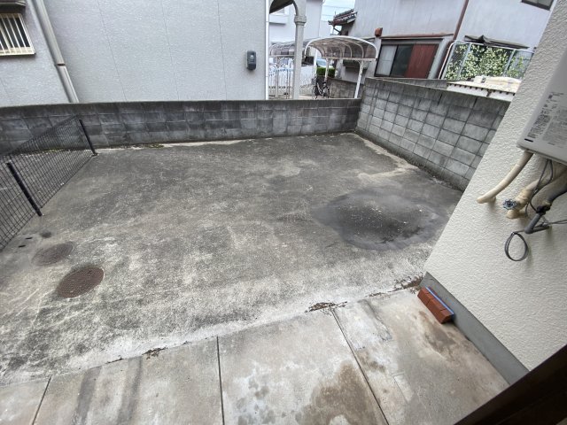 庭
