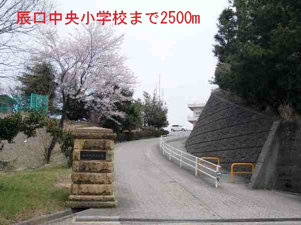 小学校　辰口中央小学校（小学校）まで2500m