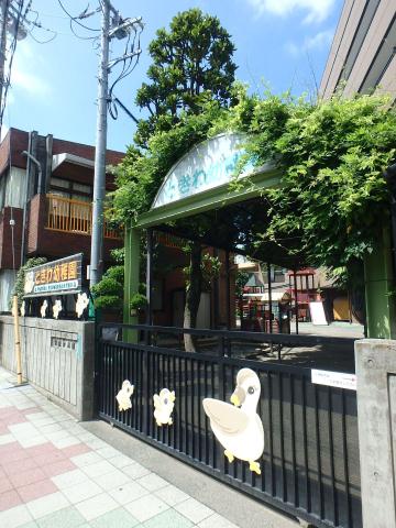 幼稚園・保育園　常盤幼稚園（幼稚園・保育園）まで447m