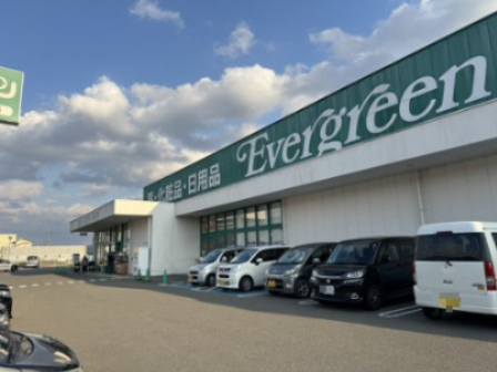 ドラックストア　エバグリーン かつらぎ店（ドラッグストア）まで1196m