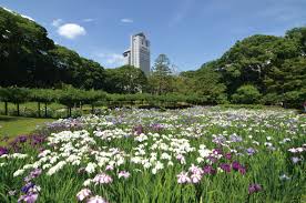 公園　小石川後楽園（公園）まで1833m