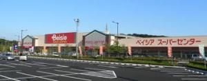 スーパー　ベイシア野田さくらの里店（スーパー）まで1142m