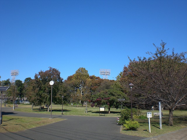 公園　光が丘公園（公園）まで839m