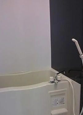 バス・シャワールーム　別部屋の画像を使用しております。