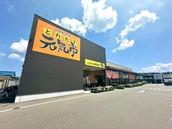 スーパー　とれたて元気市となりの農家西条（スーパー）まで1386m