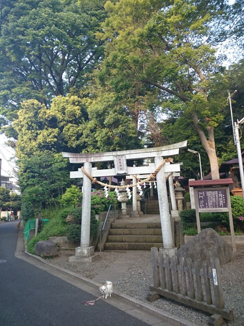 その他　弦巻神社（その他）まで443m