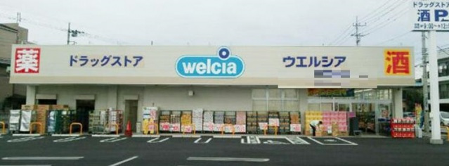ドラックストア　ウエルシア宇都宮花房店（ドラッグストア）まで997m