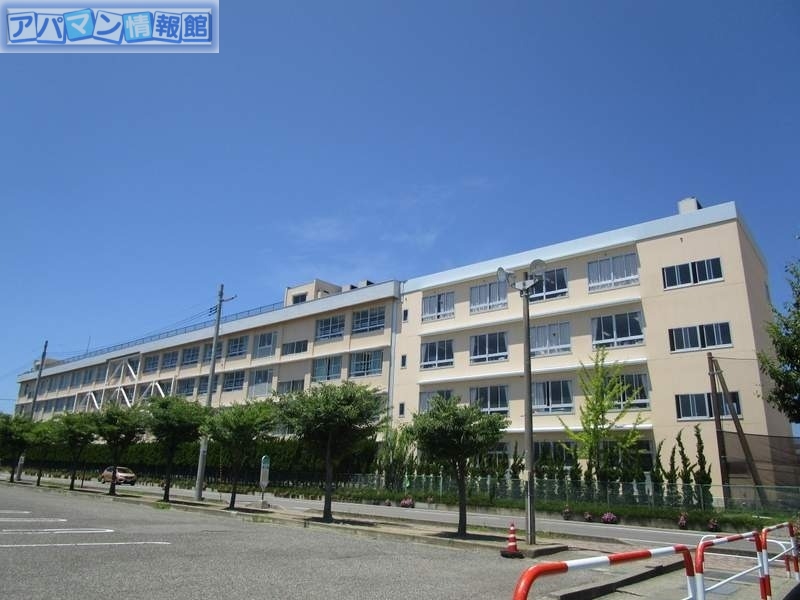 小学校　新潟市立新通小学校（小学校）まで686m