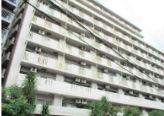 建物外観　外観です