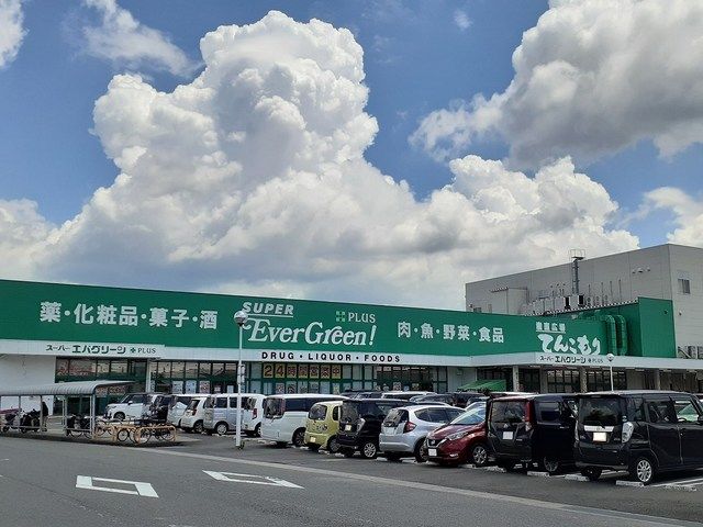 スーパー　エバグリーン和歌山店様（スーパー）まで1400m