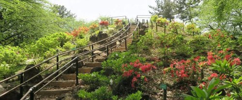 公園　戸山公園（公園）まで403m
