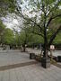 公園　桜川公園（公園）まで500m