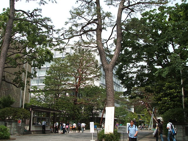 【世田谷区祖師谷のアパートの大学・短大】