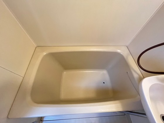 バス・シャワールーム　※別部屋の写真です