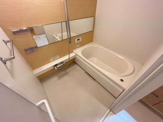 バス・シャワールーム　※別部屋の写真です