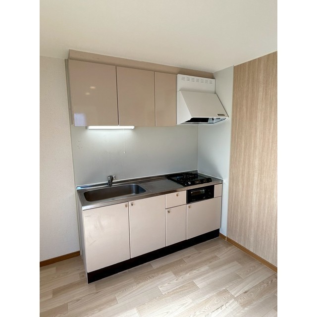 キッチン　写真はＡ２０１です