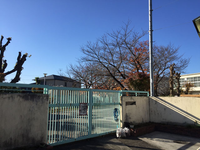 小学校　堺市立八下西小学校（小学校）まで582m