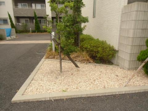 庭　庭（イメージ）